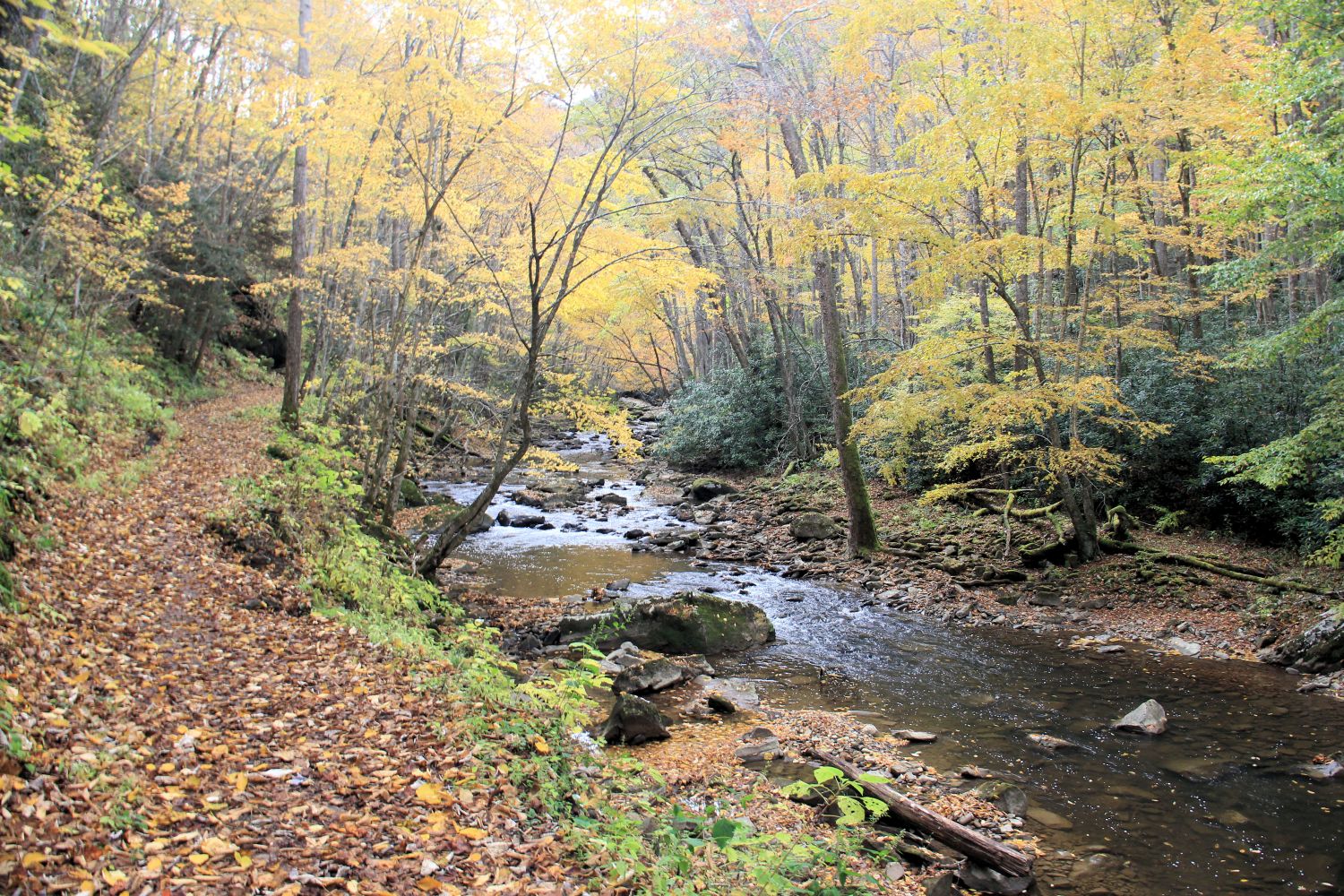 Glade Creek Trail 